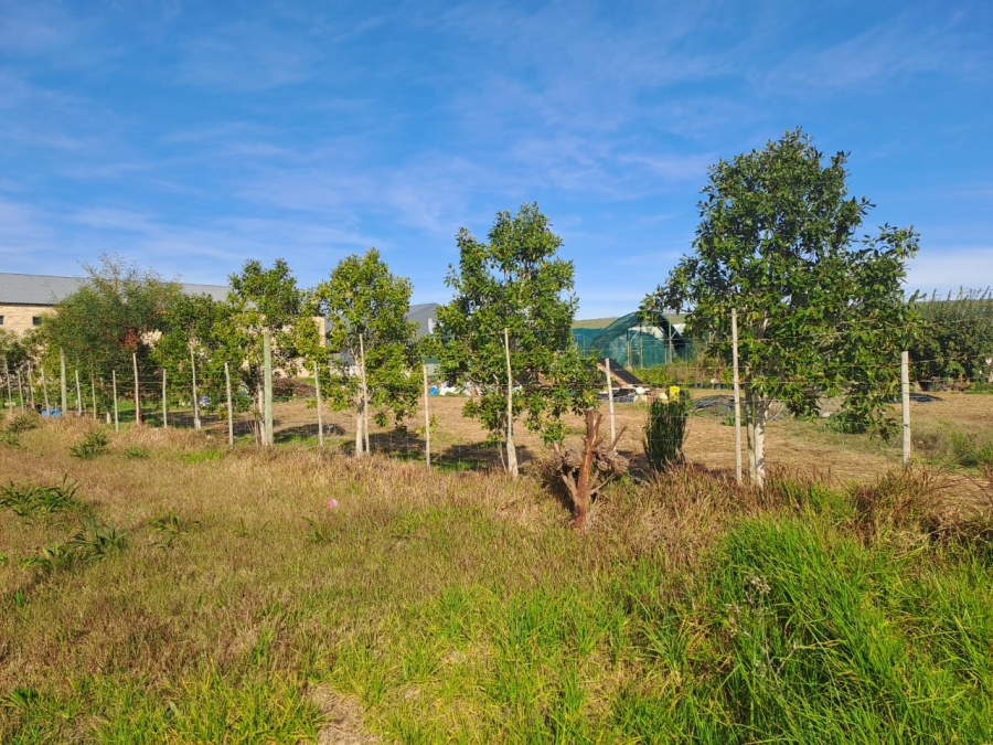 Commercial Property for Sale in Stanford Western Cape